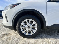 Welcome to Freedom Ford. Recent Arrival! AWD, 4-Way Manual Passenger Seat, 6 Speakers, 8-Way Power D... (image 2)