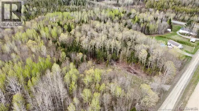 Lot McKeaghan Road Williamstown, New Brunswick in Land for Sale in Fredericton - Image 6