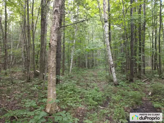 $145,000 - Price taxes not included - Wood Lot in St-Cuthbert in Land for Sale in Laval / North Shore - Image 7
