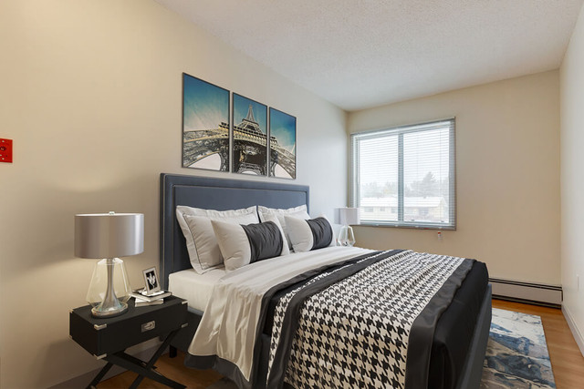Affordable Apartments for Rent - Columbian Apartments - Apartmen in Long Term Rentals in Medicine Hat - Image 2