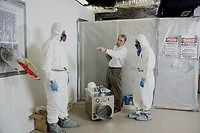 15%off Asbestos &amp; Mold removal 416833 3633 Ontario Licensed