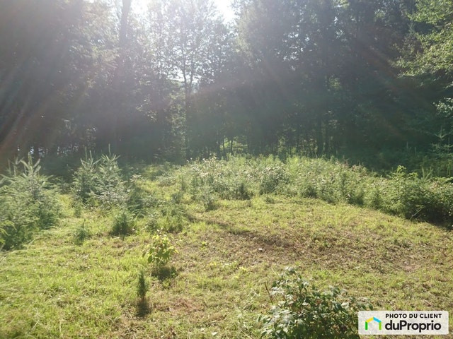 $225,000 - Residential Lot for sale in La Minerve — photo 3
