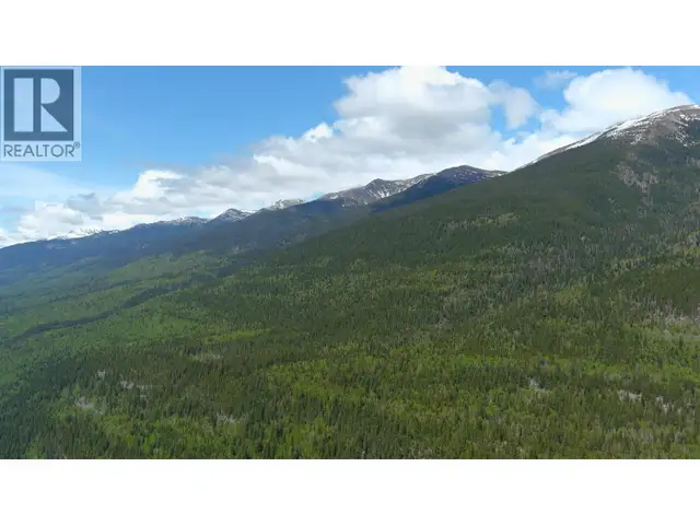 3260 MOUNTAIN VIEW ROAD McBride, British Columbia in Land for Sale in Quesnel - Image 18