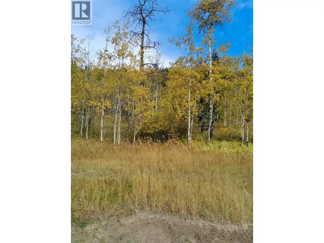 280 BLACKSTOCK ROAD 100 Mile House, British Columbia in Land for Sale in 100 Mile House - Image 9