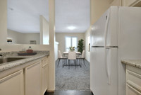 Canvas - 2 Bedroom, 1 Bathroom Apartment for Rent