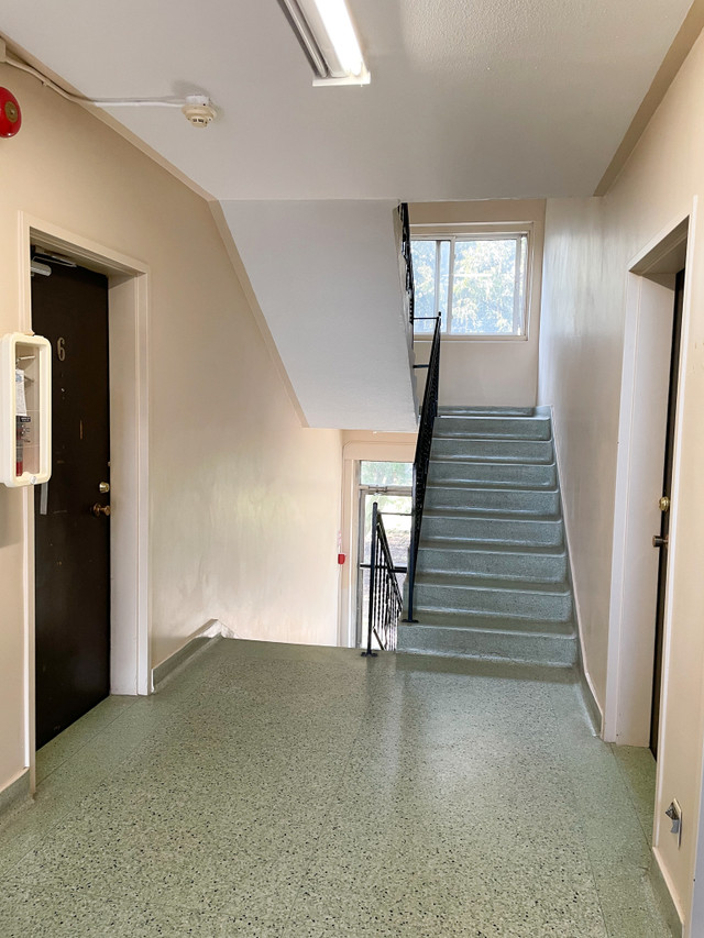 1 Bedroom Apartment SSM - Princess Heights Apts in Long Term Rentals in Sault Ste. Marie - Image 4