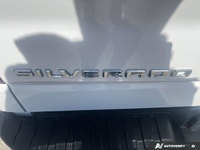 Welcome to Moncton Chrysler Jeep Dodge. Recent Arrival! 2024 Chevrolet Silverado 1500 Custom Trail B... (image 9)