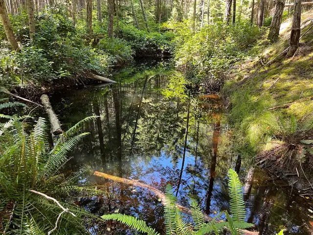 GULF ISLAND BC– OFF-GRID LAND STEWARDSHIP & LIVING OPPORTUNITY in Storage & Parking for Rent in Nanaimo - Image 6