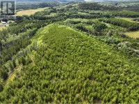 LOT 5 SAXTON LAKE ROAD Prince George, British Columbia Prince George British Columbia Preview