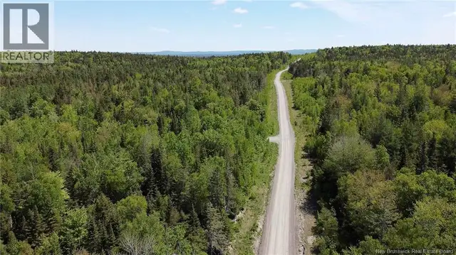 Lot 25 Misty Mountain Road Elmsville, New Brunswick in Land for Sale in Saint John - Image 7