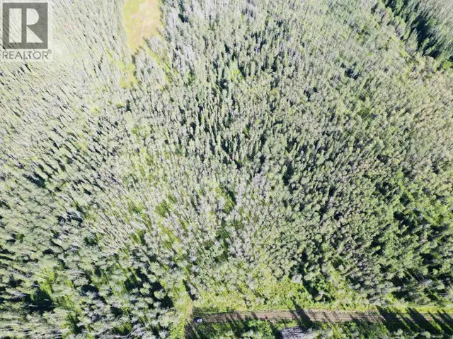DL 941 SHAEFFER LAKE Burns Lake, British Columbia in Land for Sale in Burns Lake - Image 3