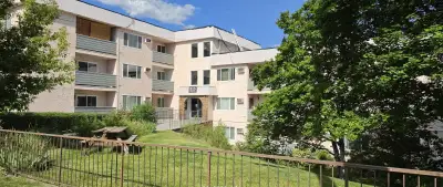 1 bedroom, 1 bathroom, fridge, stove, balcony, window coverings, a/c, laundry facilities in building...