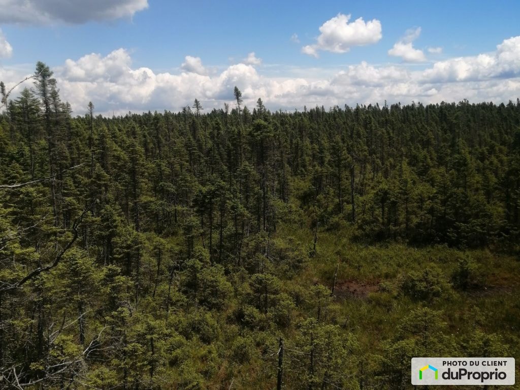 $195,000 - Wood Lot for sale in Lemieux — photo 3