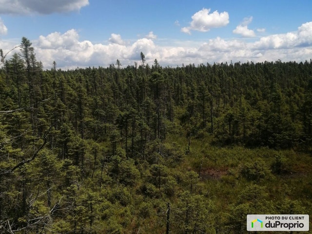 $195,000 - Wood Lot for sale in Lemieux — photo 3