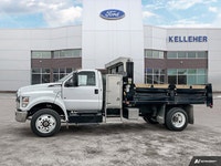 This FORD MEDIUM TRUCK F-650 has a trusty Regular Unleaded V-8 7.3 L engine powering it's polished t... (image 1)