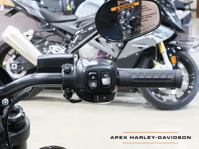 2025 Harley-Davidson FXLRS - Low Rider S in Street, Cruisers & Choppers in Cambridge - Image 14