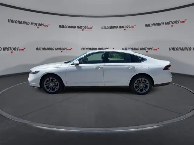2024 Honda Accord Sedan EX | No Accidents | Sunroof in Cars & Trucks in Hamilton - Image 6