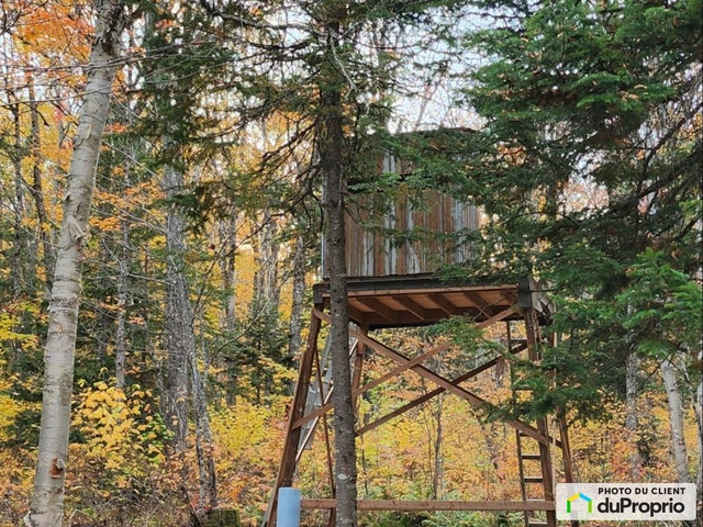 $215,000 - Wood Lot for sale in St-Camille-De-Lellis — photo 3