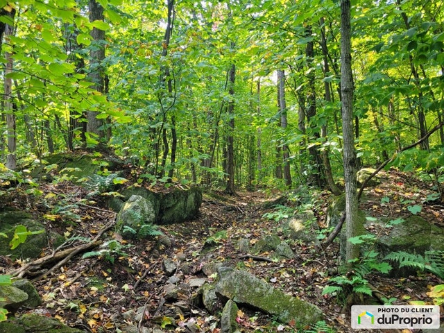 $249,900 - Residential Lot for sale in Ste-Sophie — photo 2