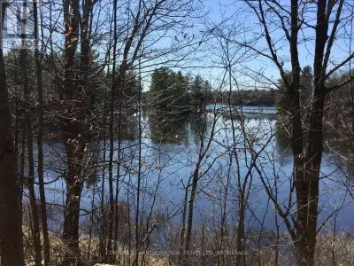 Here's your chance to own a rare slice of rugged Eastern Ontario, over 11 acres on Little John Siste...