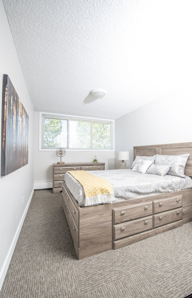 Apartments for Rent in Southeast Calgary - Wyldewood Estates - A in Long Term Rentals in Calgary - Image 3