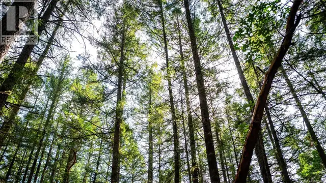 1870 Millstream Rd Highlands, British Columbia in Land for Sale in Victoria - Image 23