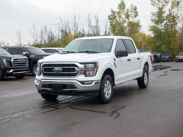 2023 Ford F-150 XLT - Remote Engine Start, Cooled Front Seat(s) in Cars & Trucks in Belleville - Image 4