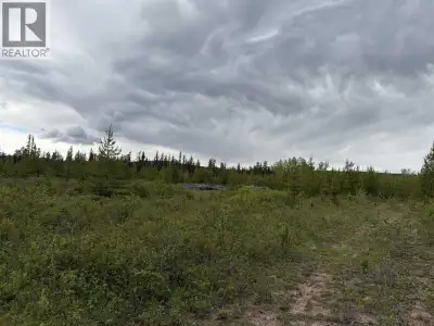 Rare opportunity to own 320 acres of private land with merchantable timber and long-term stewardship...