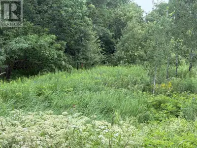 Tucked away in a serene part of Pictou County, this just-over-4.5-acre wooded lot offers the perfect...