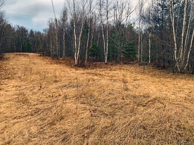 6.8 acre lot Minto NB in Land for Sale in Fredericton - Image 4