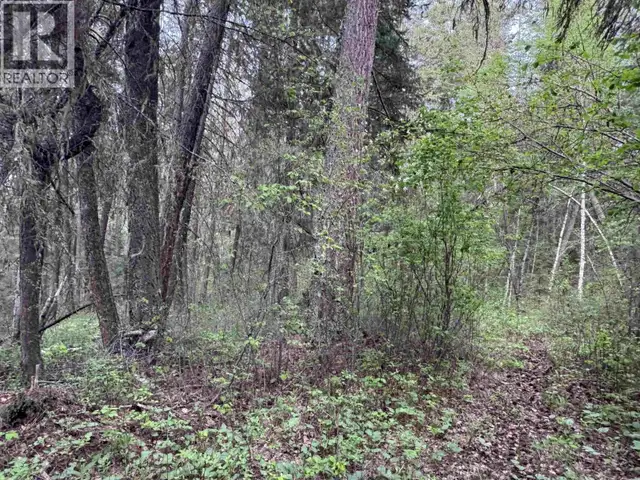 550 DOG CREEK ROAD Williams Lake, British Columbia in Land for Sale in Williams Lake - Image 13