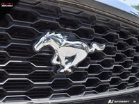 Welcome to 11 Motors. JUST IN-- PRICED TO SELL -- CLEAN CARFAX NO ACCIDENTS -- DEALER MAINTAINED 2.3... (image 8)