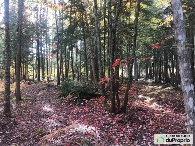 $89,000 - Residential Lot in Rimouski (Ste-Odile-Sur-Rimouski) in Land for Sale in Rimouski / Bas-St-Laurent - Image 6