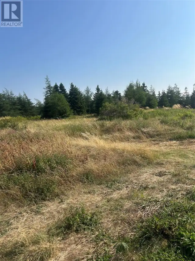 0 Beaver pond Road Road Roaches Line, Newfoundland & Labrador in Land for Sale in St. John's - Image 9