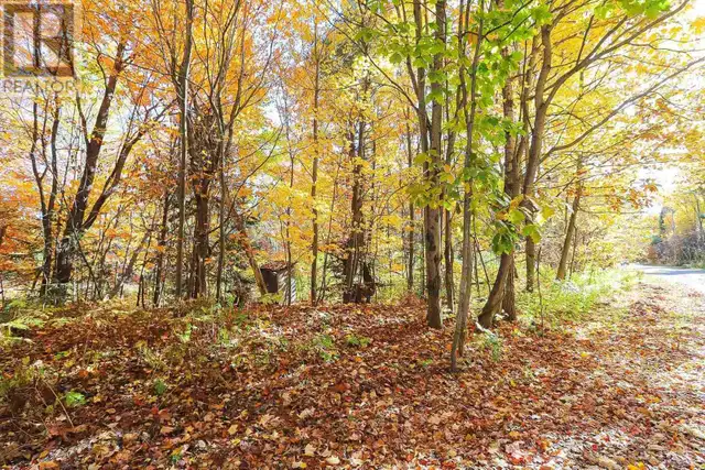 Lot 19 Nokomis Beach RD Sault Ste. Marie, Ontario in Land for Sale in Sault Ste. Marie - Image 12