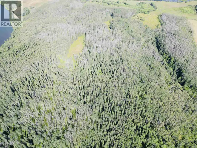 DL 941 SHAEFFER LAKE Burns Lake, British Columbia in Land for Sale in Burns Lake - Image 4