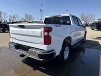 AMVIC Licensed Dealer Keen on a hearty vehicle that's ready to tackle both daily chores and adventur... (image 7)