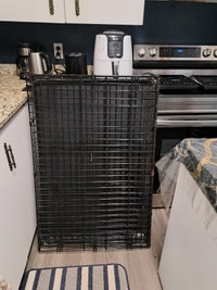 Dog crate in good condition with the padding. Centretown. Ottawa Ottawa / Gatineau Area Preview