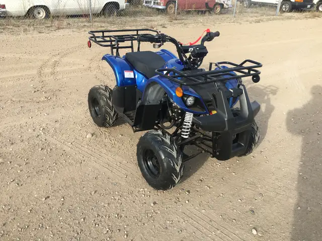 2025 BRAND NEW GIO BLAZER 125 ATV / QUAD / in ATVs in Brandon - Image 5