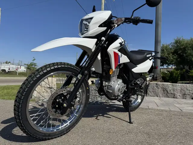 2025 Honda XR150L Standard in Street, Cruisers & Choppers in Kitchener / Waterloo - Image 24
