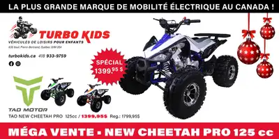 MÉGA SOLDE ! Notre Quad New Cheetah Pro de Tao motors est en méga solde ! Ce Quad est de taille moye...