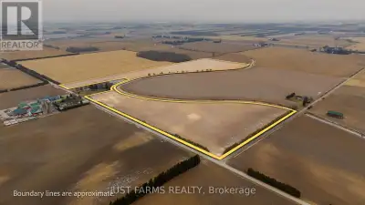 This 52 acre farm offers 45 acres of workable, systematically tile drained land with excellent agric...