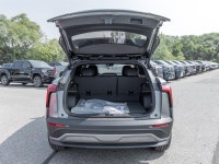 (up to 455km On Full Charge )Midnight Edition- Black Roof | HD Surround Vision | Black Gloss Wheels... (image 6)