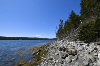 Lot 6 Ferry Rd, Country Harbour - 4.60 ac