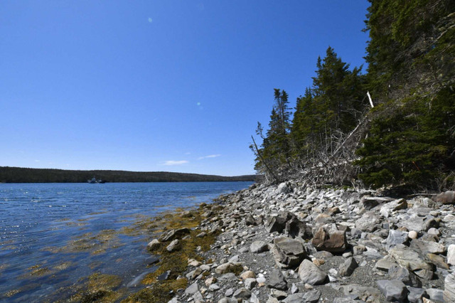 Lot 6 Ferry Rd, Country Harbour - 4.60 ac in Land for Sale in New Glasgow