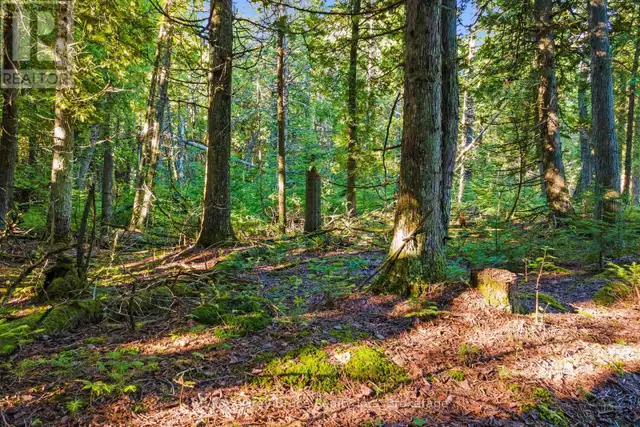 30 HURON PARK ROAD Northern Bruce Peninsula, Ontario in Land for Sale in Owen Sound - Image 4