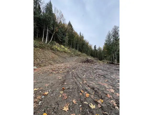 41768 BOWMAN ROAD, Vedder Mountain Yarrow, British Columbia in Land for Sale in Chilliwack - Image 17