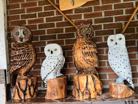 OWLS & BEARS CARVED IN WOOD BY CHAINSAW