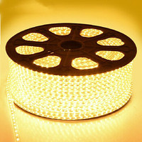 110V led strip light 50m (164ft) waterproof deck marine dock