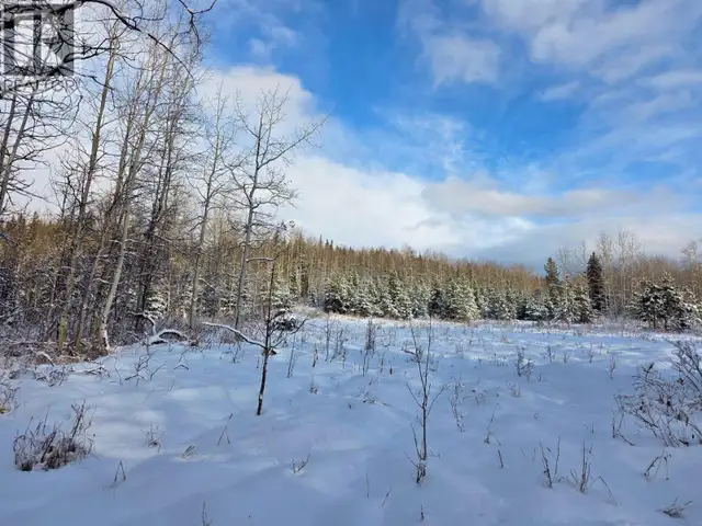FRAC N1/2 DL 2557 BINTA ROAD Burns Lake, British Columbia in Land for Sale in Burns Lake - Image 8